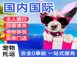 呼和浩特航空空运国际宠物托运 【国